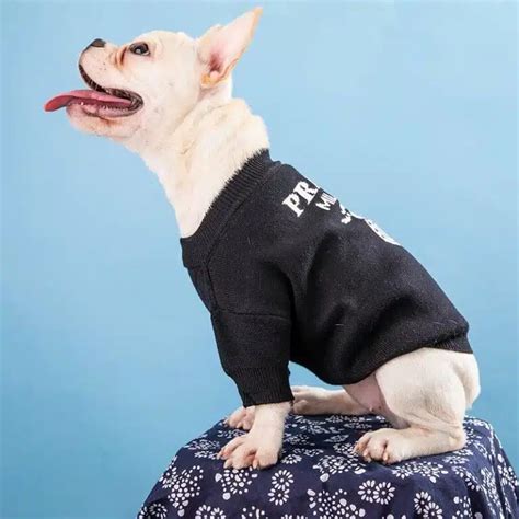 prada bandana dog|Prada dog sweaters.